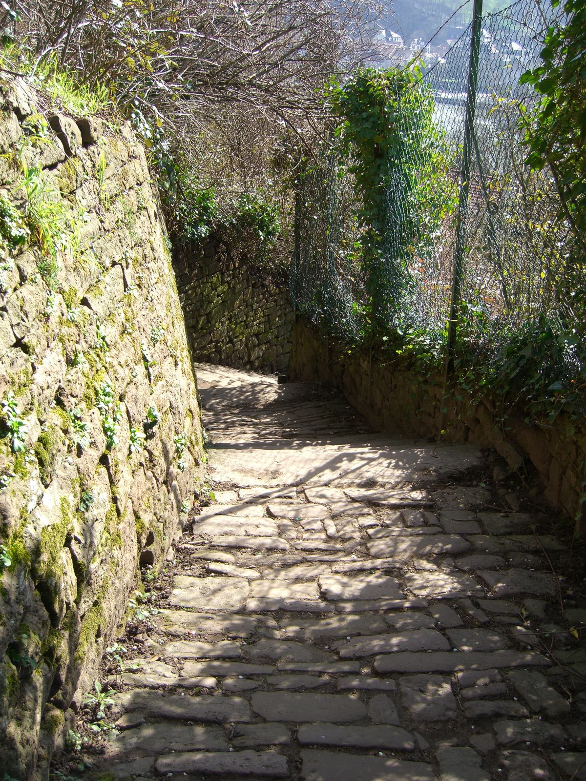 Heidelberg